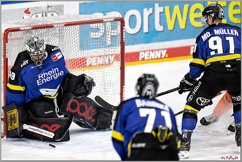 PENNY DEL;  Koelner Haie - Grizzlys Wolfsburg; Koeln, 25.11.2021